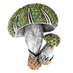 Crystal Double Mushroom Brooch