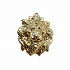 Lion Head Brooch – product view